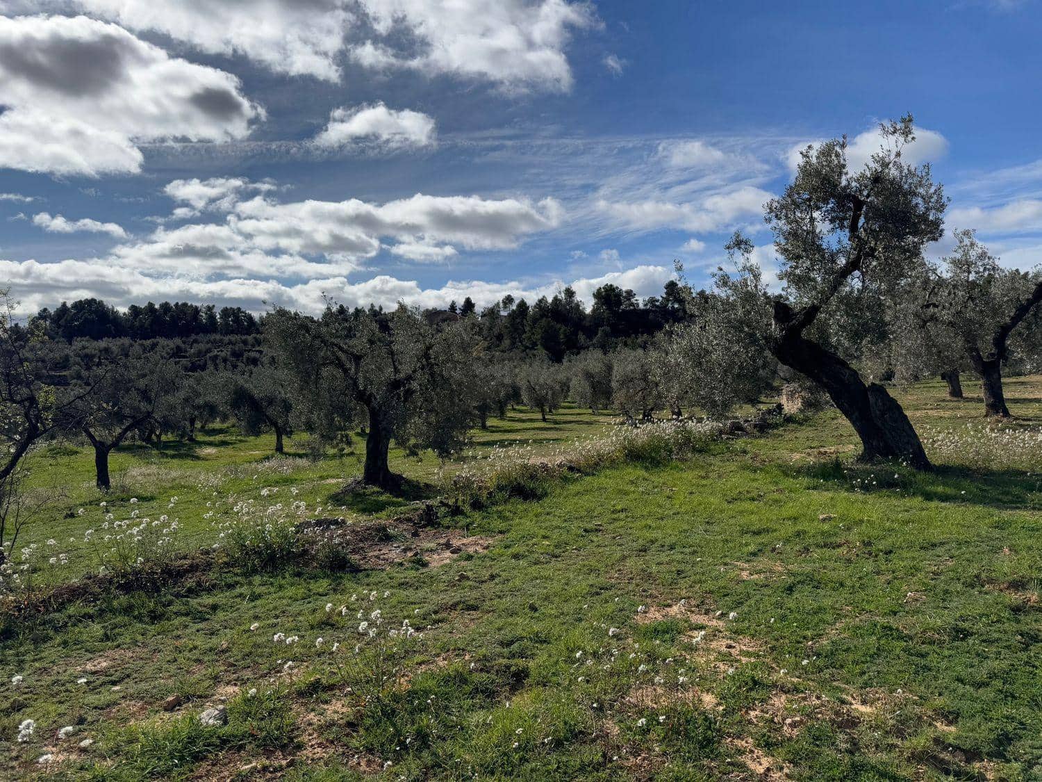 1 bedroom Finca/Country House for sale in Valderrobres - € 105,000 (Ref: 10124588)