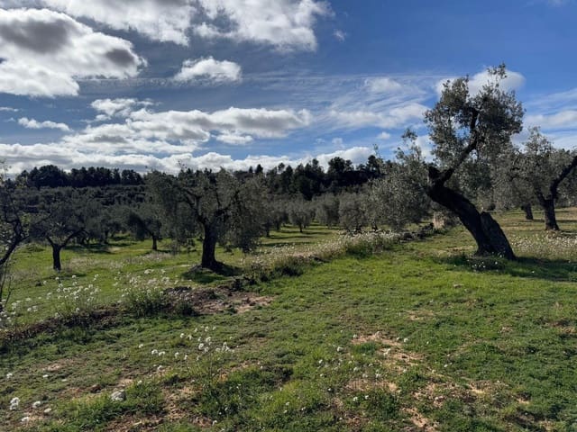 1 bedroom Finca/Country House for sale in Valderrobres - € 105,000 (Ref: 10124588)