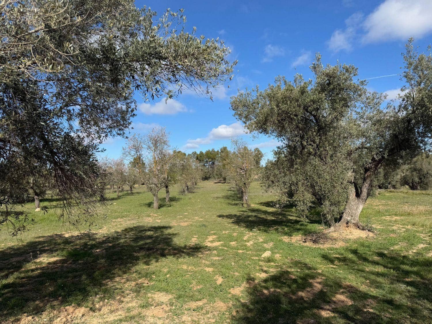 1 bedroom Finca/Country House for sale in Valderrobres - € 105,000 (Ref: 10124588)