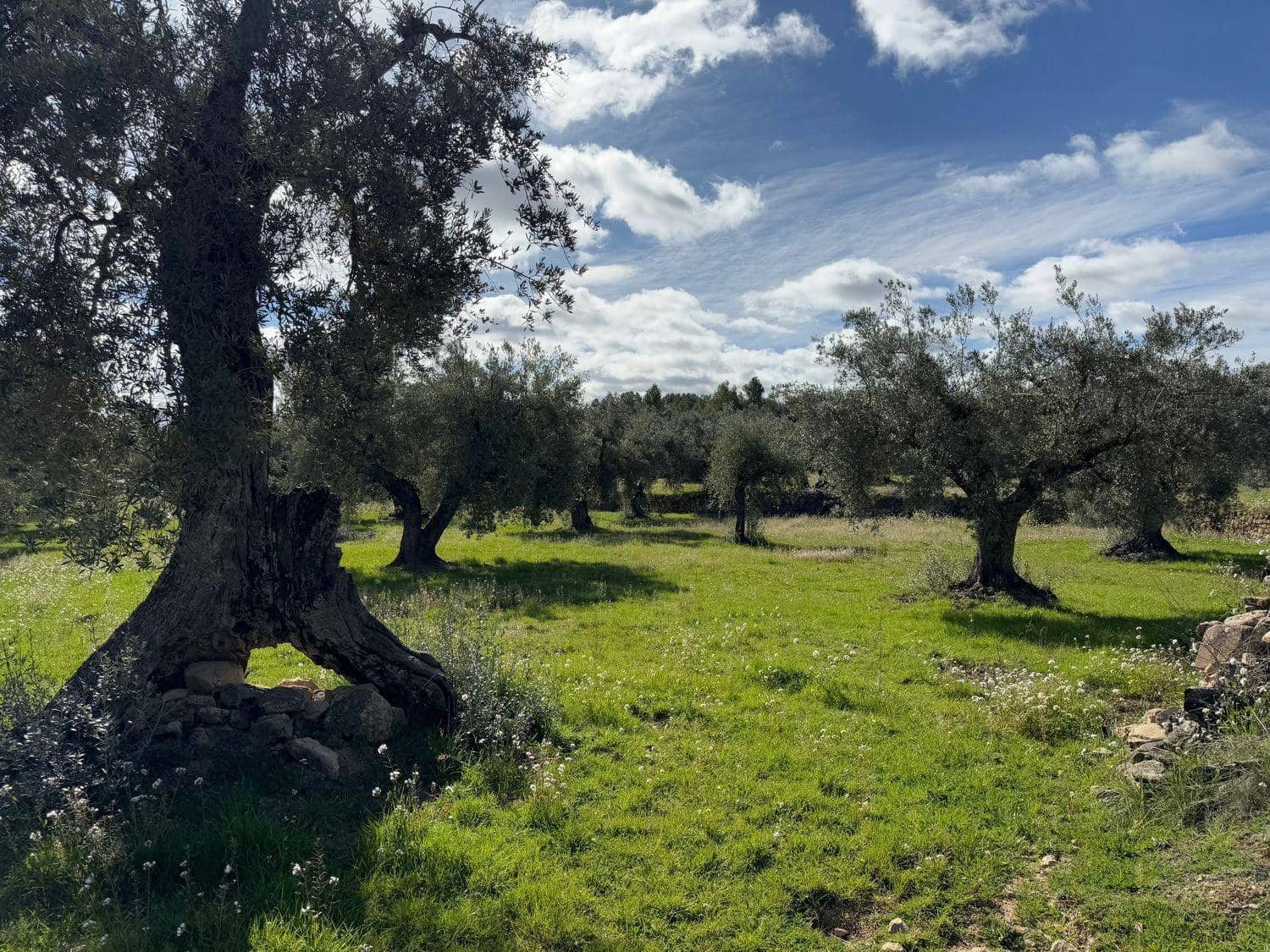 1 bedroom Finca/Country House for sale in Valderrobres - € 105,000 (Ref: 10124588)