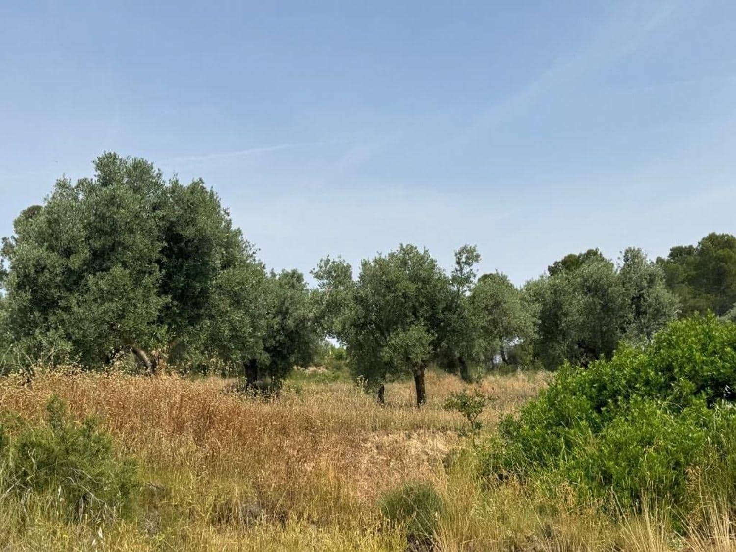 4 sovrum Finca/Hus på landet till salu i Mazaleon - 209 000 € (Ref: 10124589)