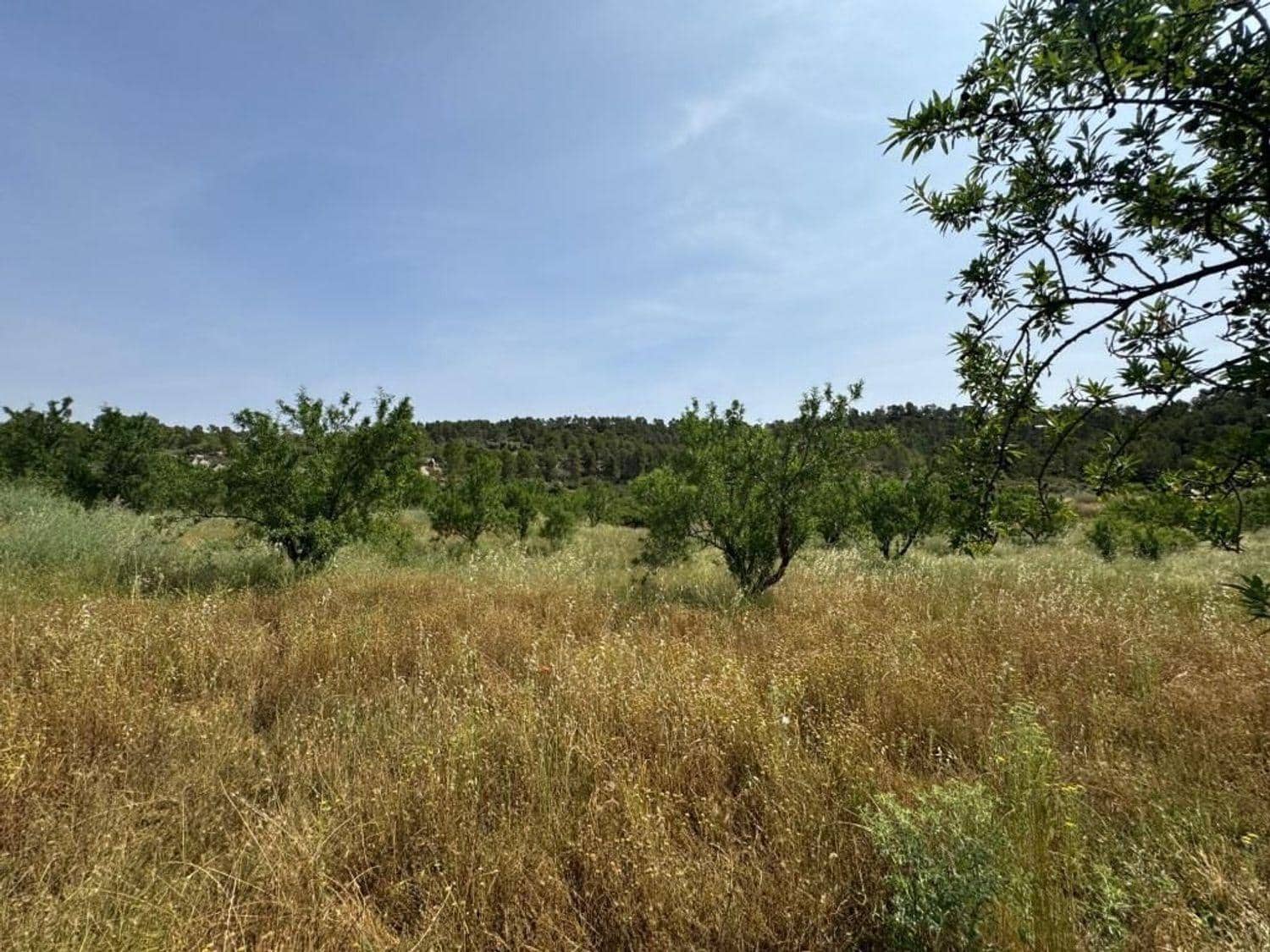 4 sovrum Finca/Hus på landet till salu i Mazaleon - 209 000 € (Ref: 10124589)