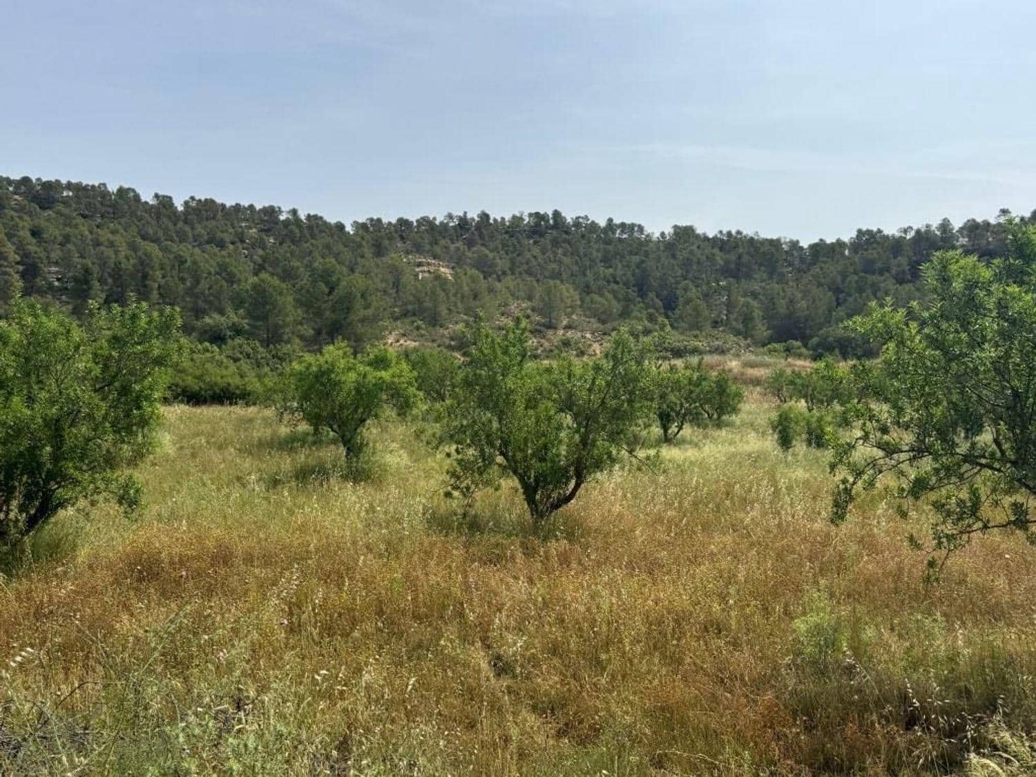 4 sovrum Finca/Hus på landet till salu i Mazaleon - 209 000 € (Ref: 10124589)