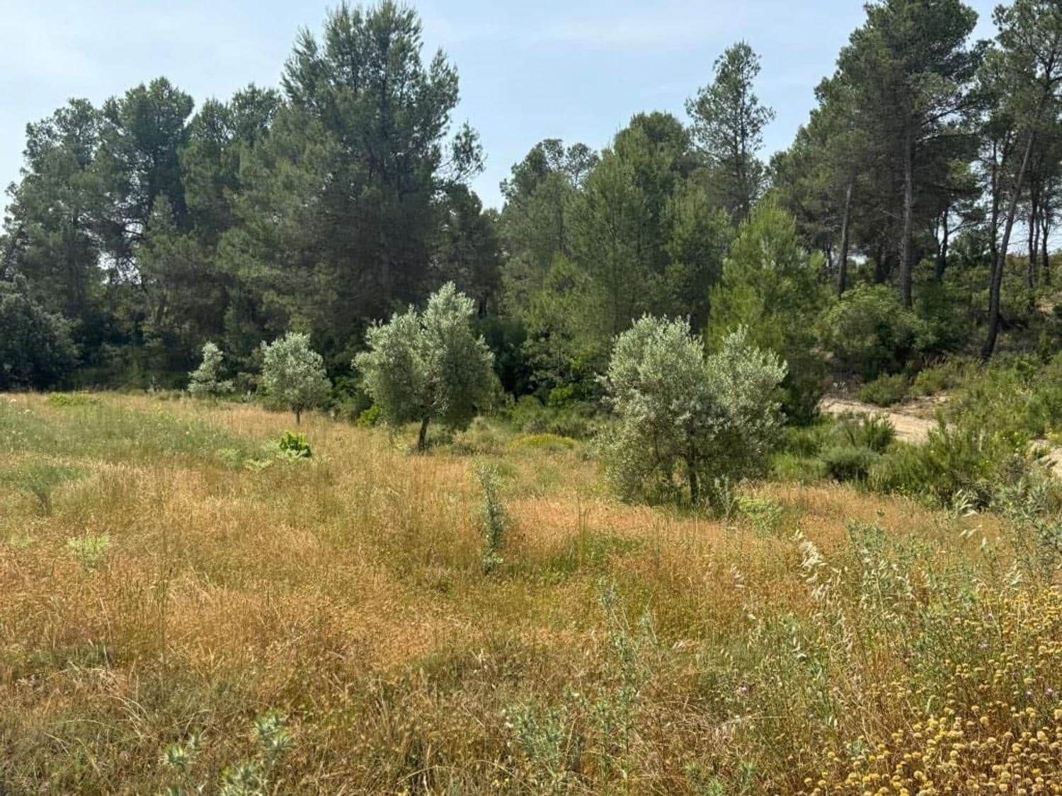 4 sovrum Finca/Hus på landet till salu i Mazaleon - 209 000 € (Ref: 10124589)