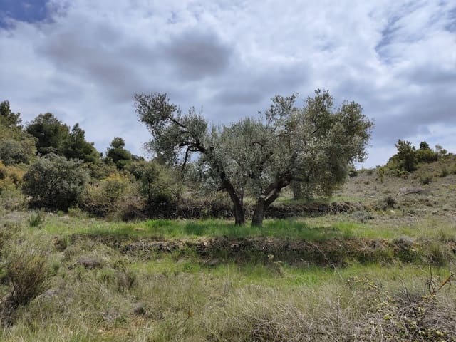 Finca/Maison de Campagne à vendre à Valderrobres avec piscine - 42 000 € (Ref: 10124609)