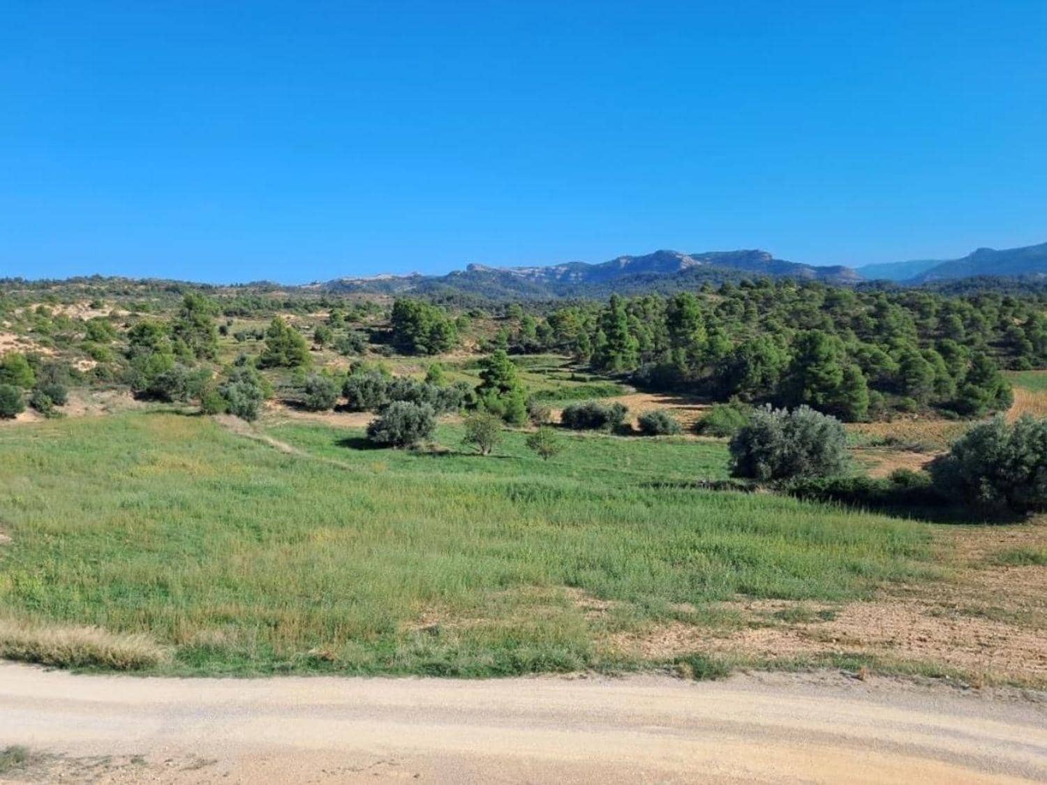 4 bedroom Finca/Country House for sale in Valderrobres - € 336,000 (Ref: 10124610)