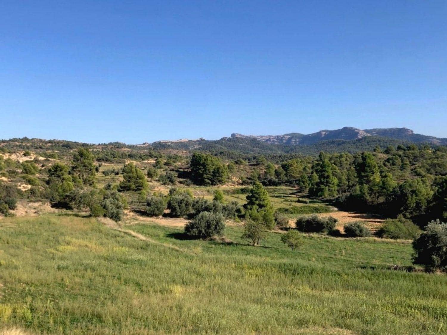 4 bedroom Finca/Country House for sale in Valderrobres - € 336,000 (Ref: 10124610)