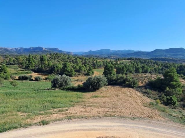 4 bedroom Finca/Country House for sale in Valderrobres - € 336,000 (Ref: 10124610)