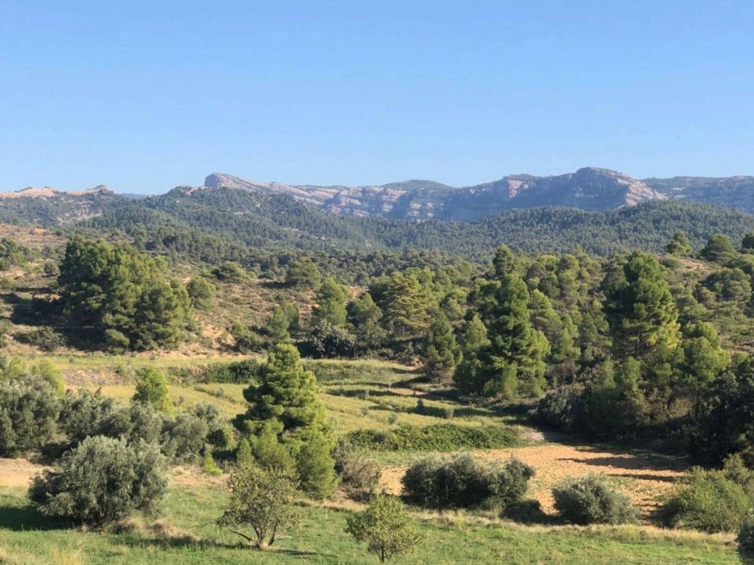 4 bedroom Finca/Country House for sale in Valderrobres - € 336,000 (Ref: 10124610)