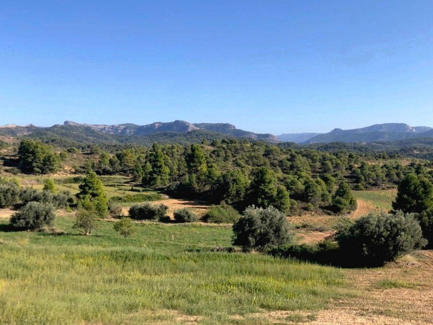 4 bedroom Finca/Country House for sale in Valderrobres - € 336,000 (Ref: 10124610)