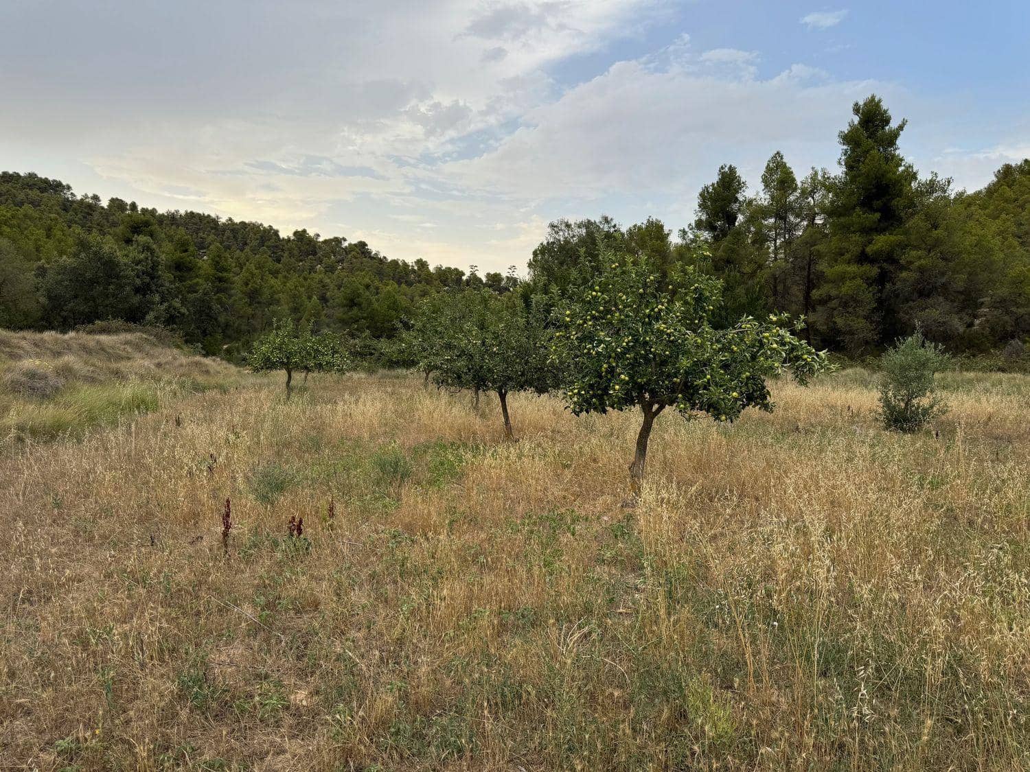 Finca/Herregård til salgs i Valderrobres - € 190 000 (Ref: 10124612)
