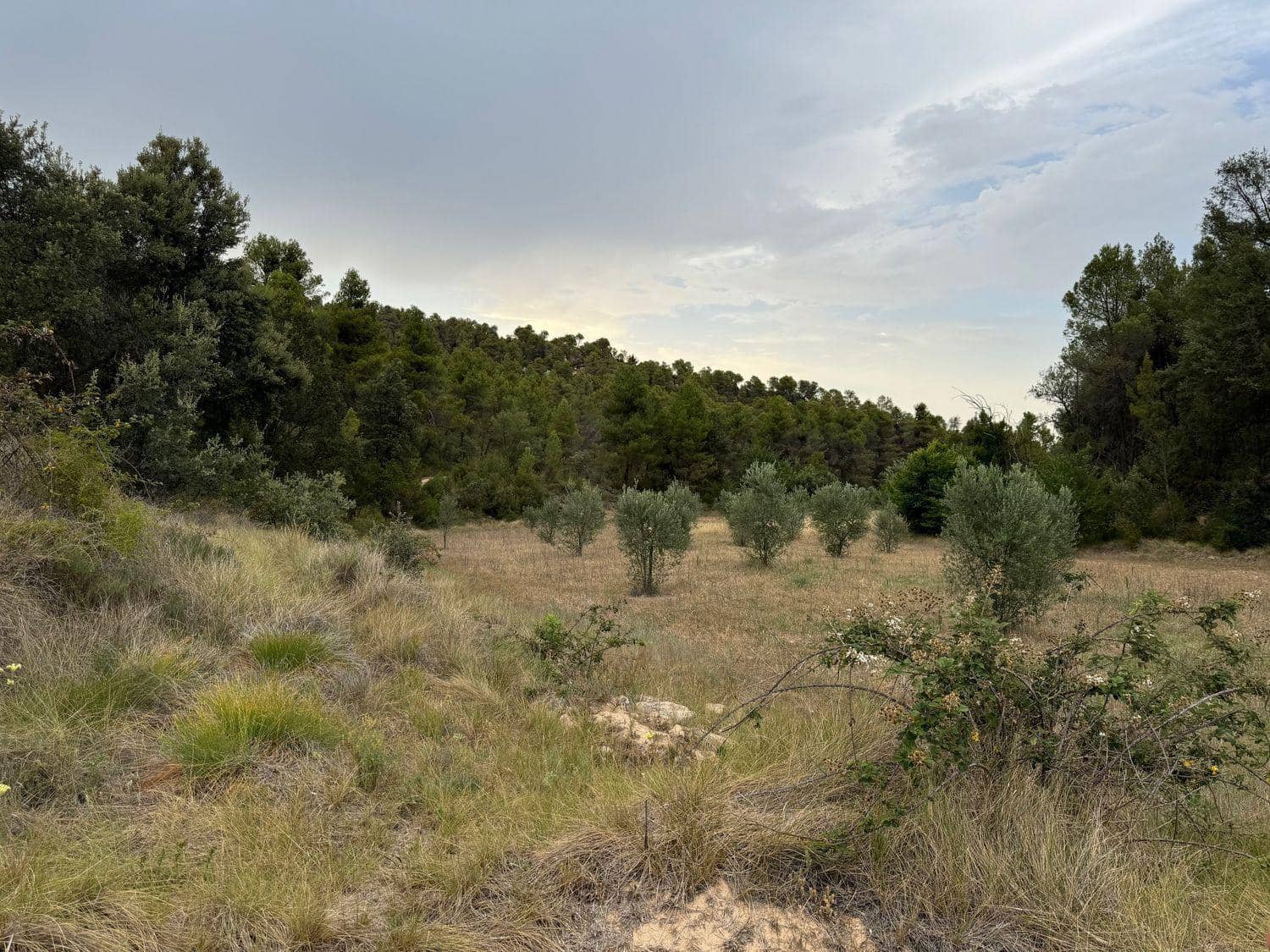 Finca/Herregård til salgs i Valderrobres - € 190 000 (Ref: 10124612)