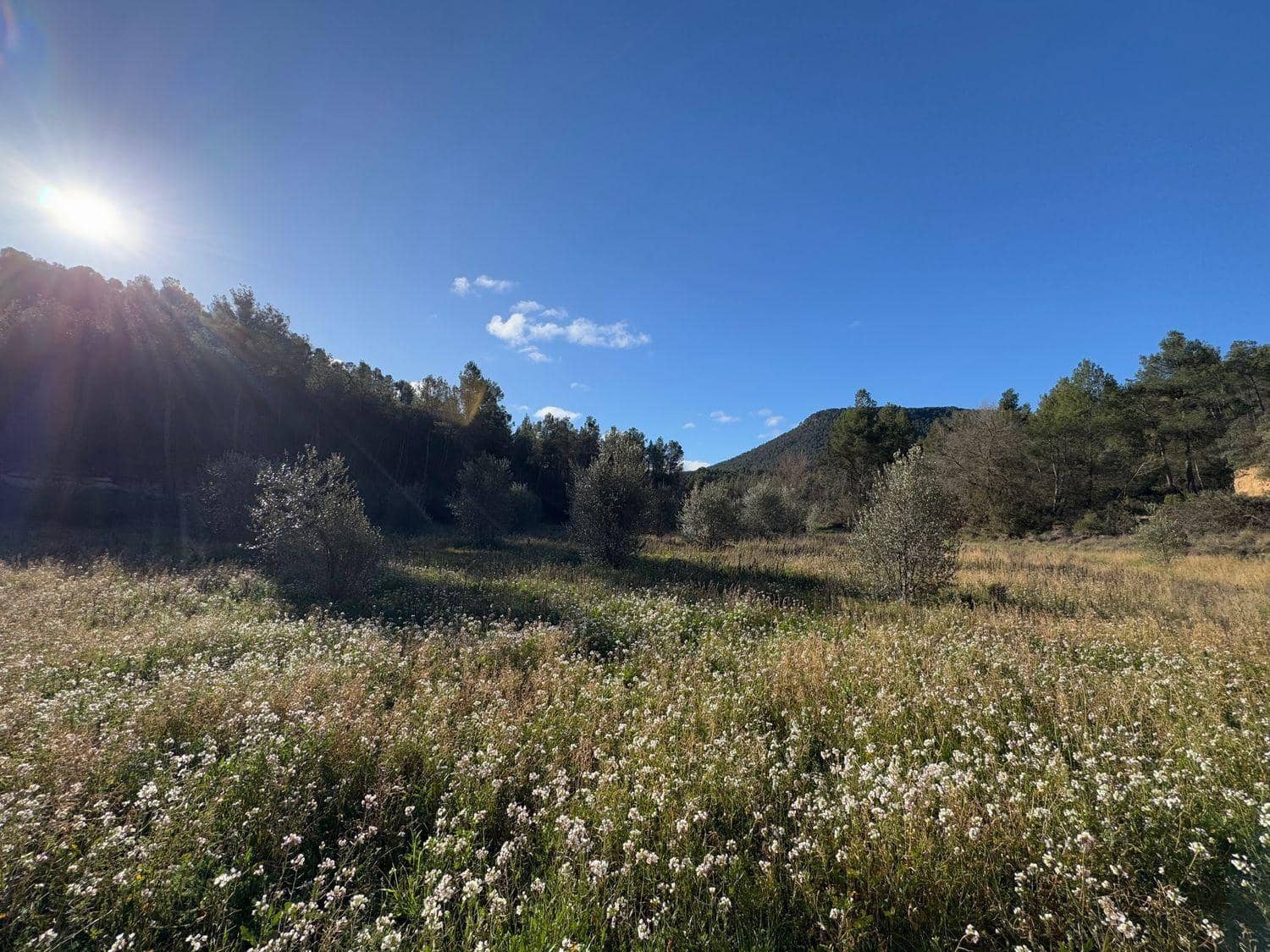 Finca/Herregård til salgs i Valderrobres - € 190 000 (Ref: 10124612)
