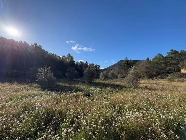 Finca/Maison de Campagne à vendre à Valderrobres - 190 000 € (Ref: 10124612)