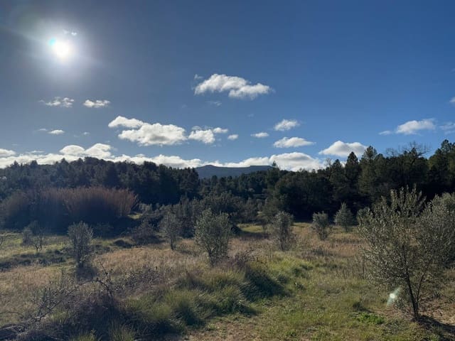 Finca/Maison de Campagne à vendre à Valderrobres - 190 000 € (Ref: 10124612)