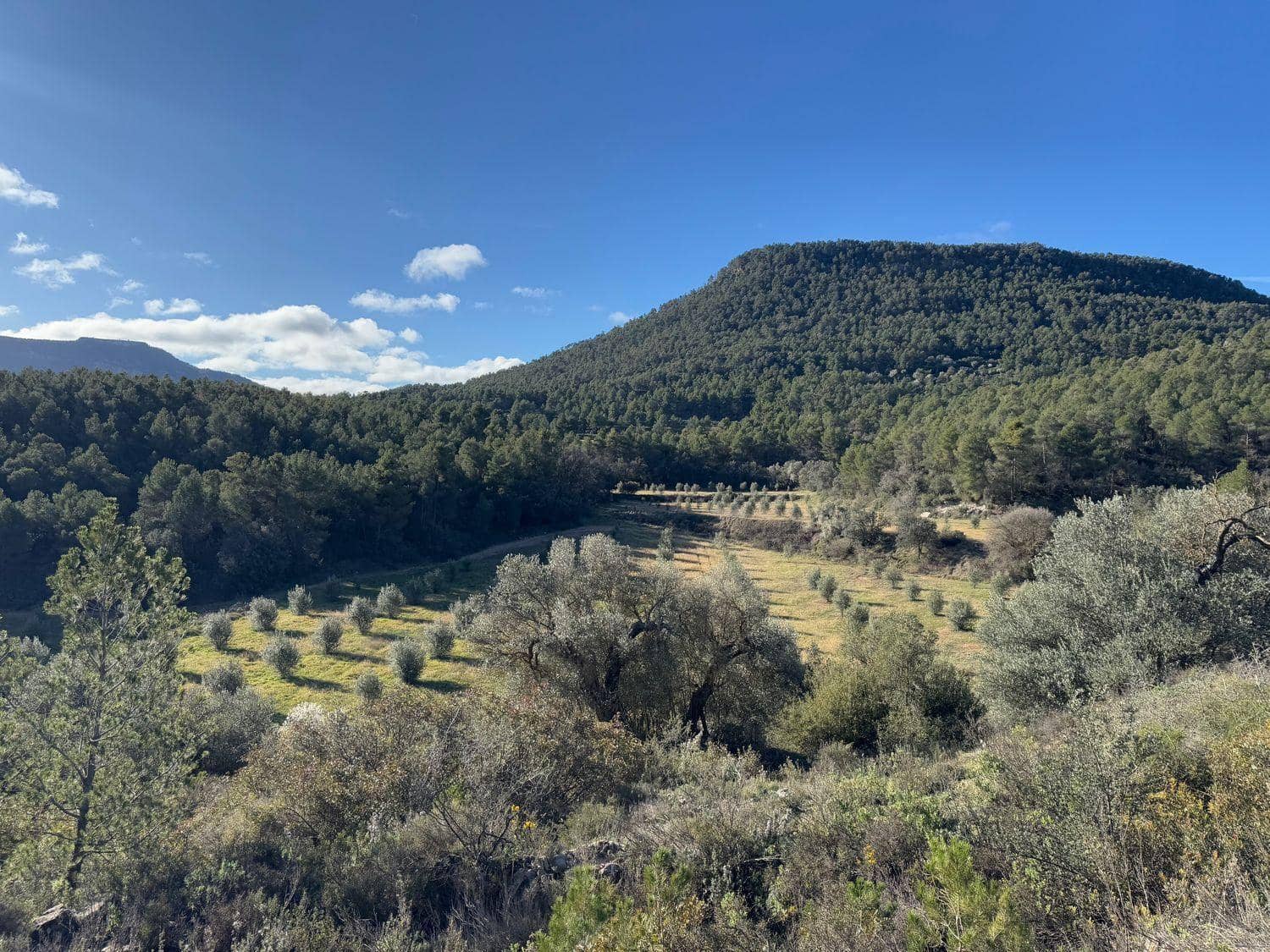 Finca/Herregård til salgs i Valderrobres - € 190 000 (Ref: 10124612)