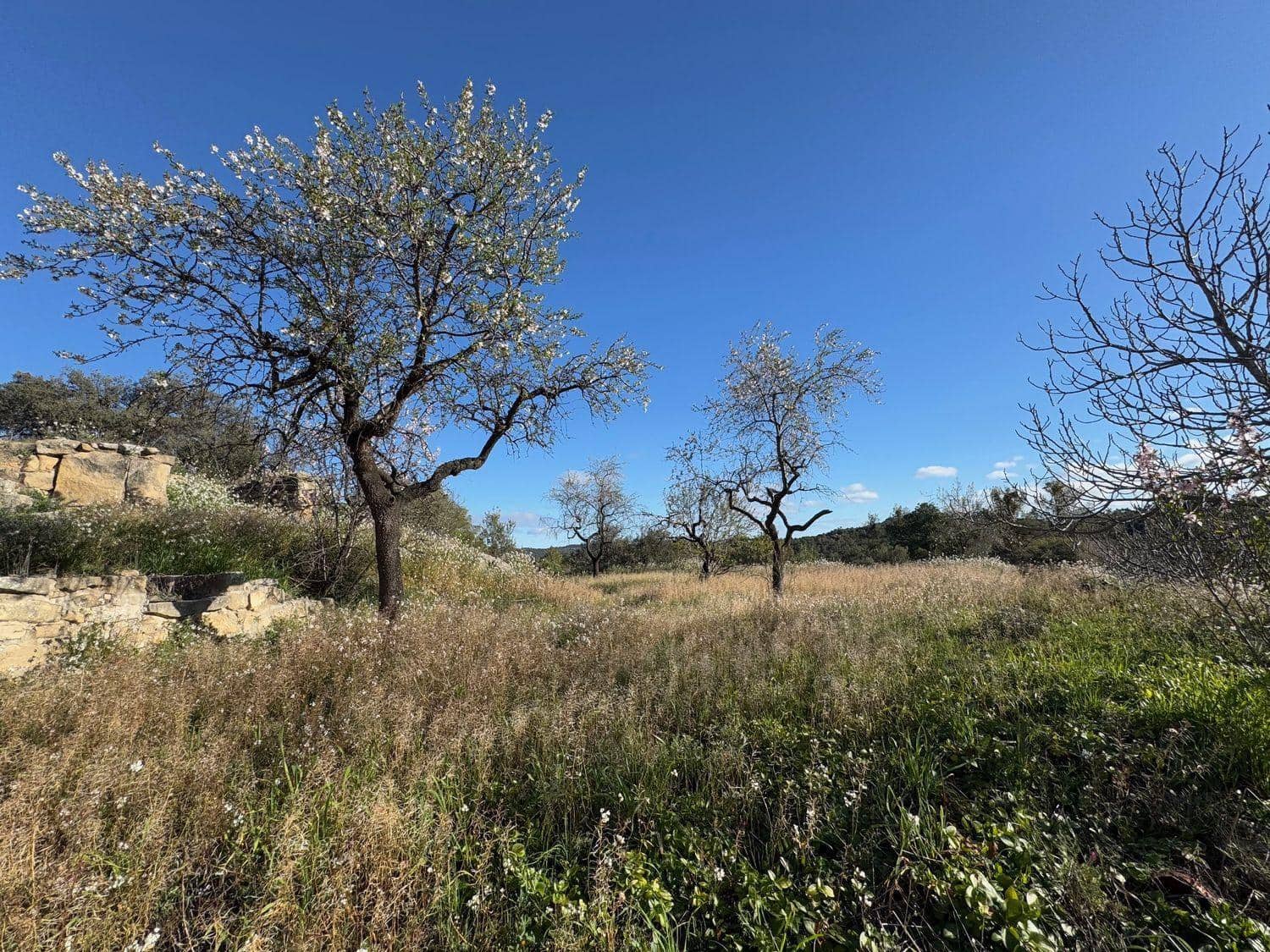 Finca/Herregård til salgs i Valderrobres - € 190 000 (Ref: 10124612)