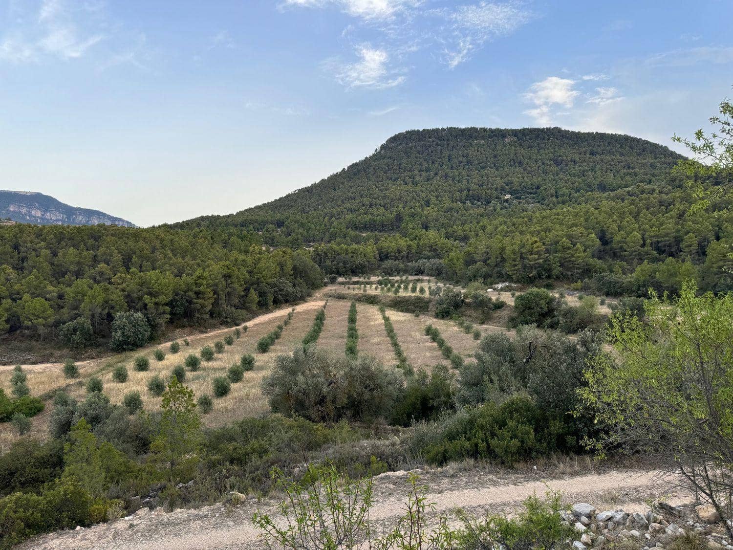 Finca/Herregård til salgs i Valderrobres - € 190 000 (Ref: 10124612)