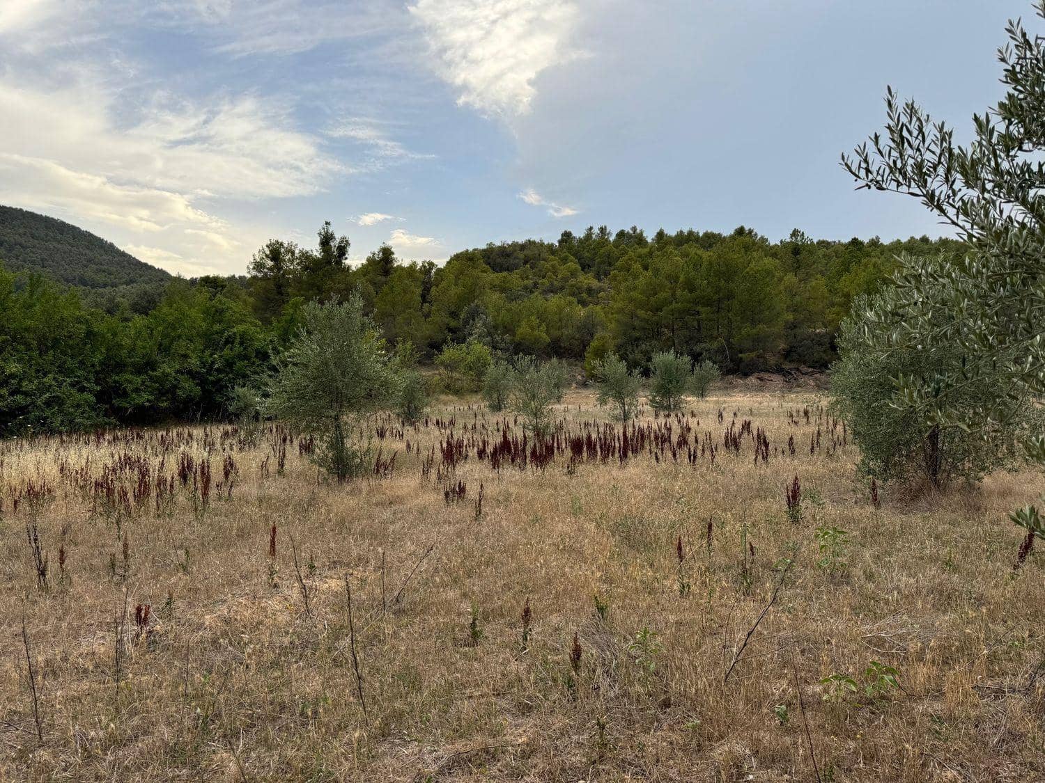 Finca/Herregård til salgs i Valderrobres - € 190 000 (Ref: 10124612)