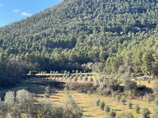 Finca/Maison de Campagne à vendre à Valderrobres - 190 000 € (Ref: 10124612)