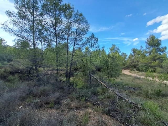 Terreno para Construção para venda em Valderrobres - 36 000 € (Ref: 10124614)
