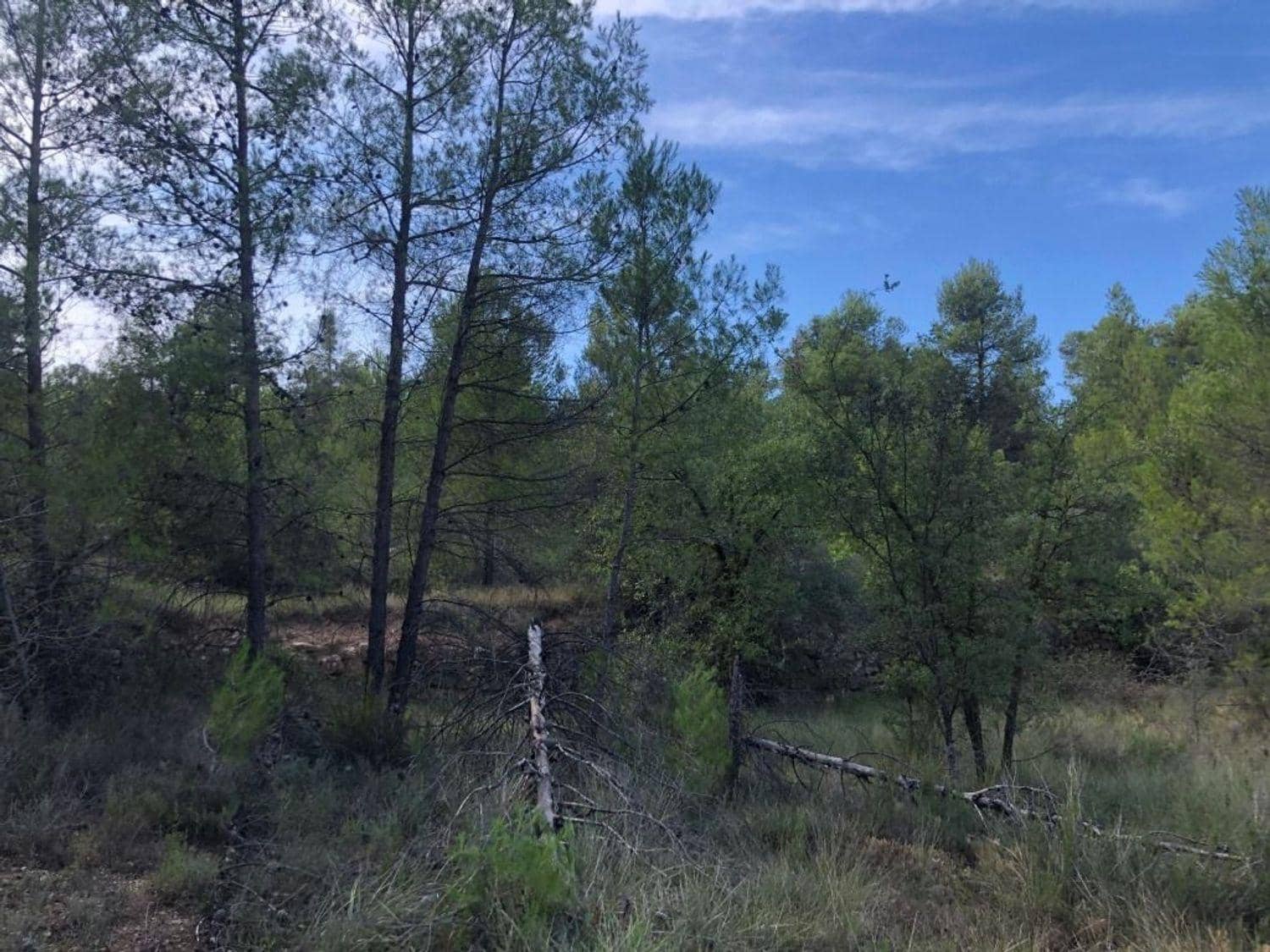 Tontti myytävänä paikassa Valderrobres - 36 000 € (Ref: 10124614)