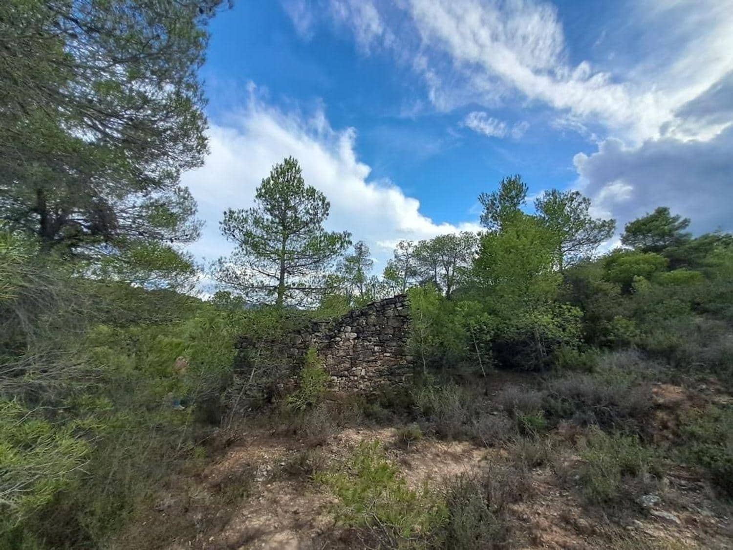 Tontti myytävänä paikassa Valderrobres - 36 000 € (Ref: 10124614)