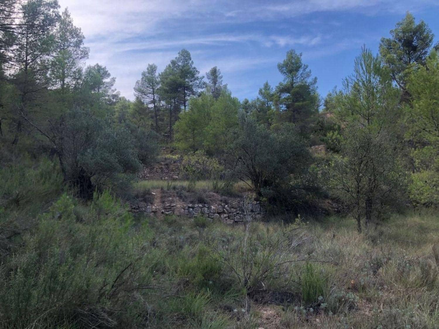 Tontti myytävänä paikassa Valderrobres - 36 000 € (Ref: 10124614)