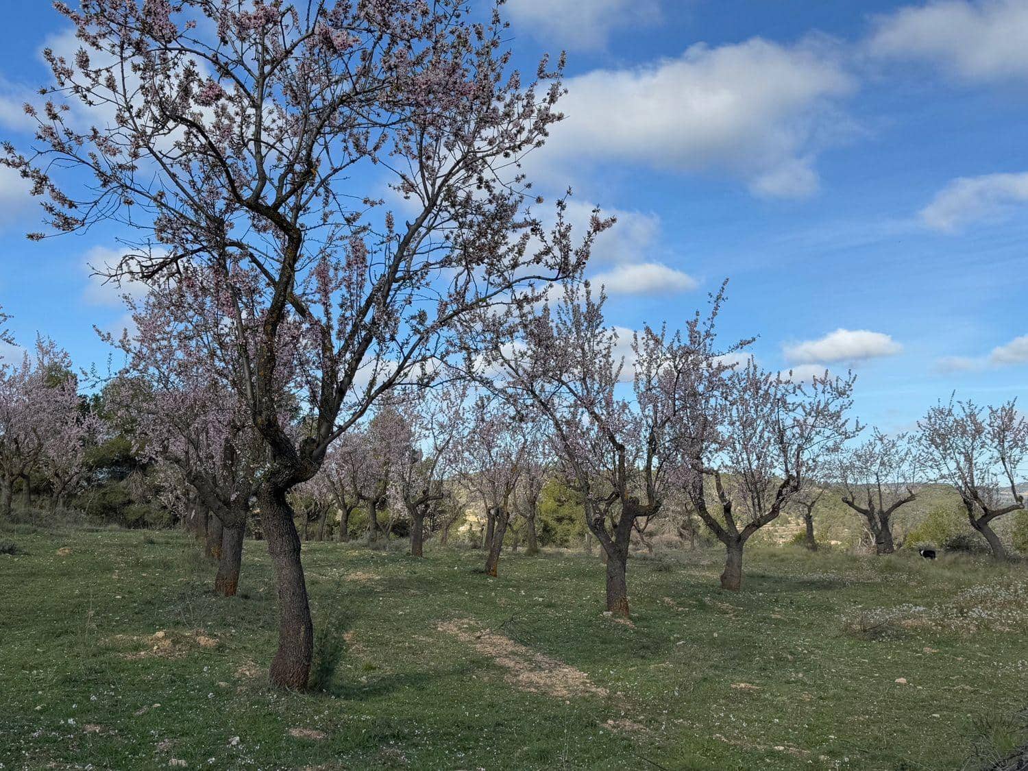 Finca/Maison de Campagne à vendre à Valderrobres - 80 000 € (Ref: 10124616)