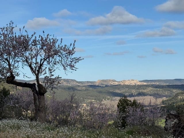 Finca/Maison de Campagne à vendre à Valderrobres - 80 000 € (Ref: 10124616)