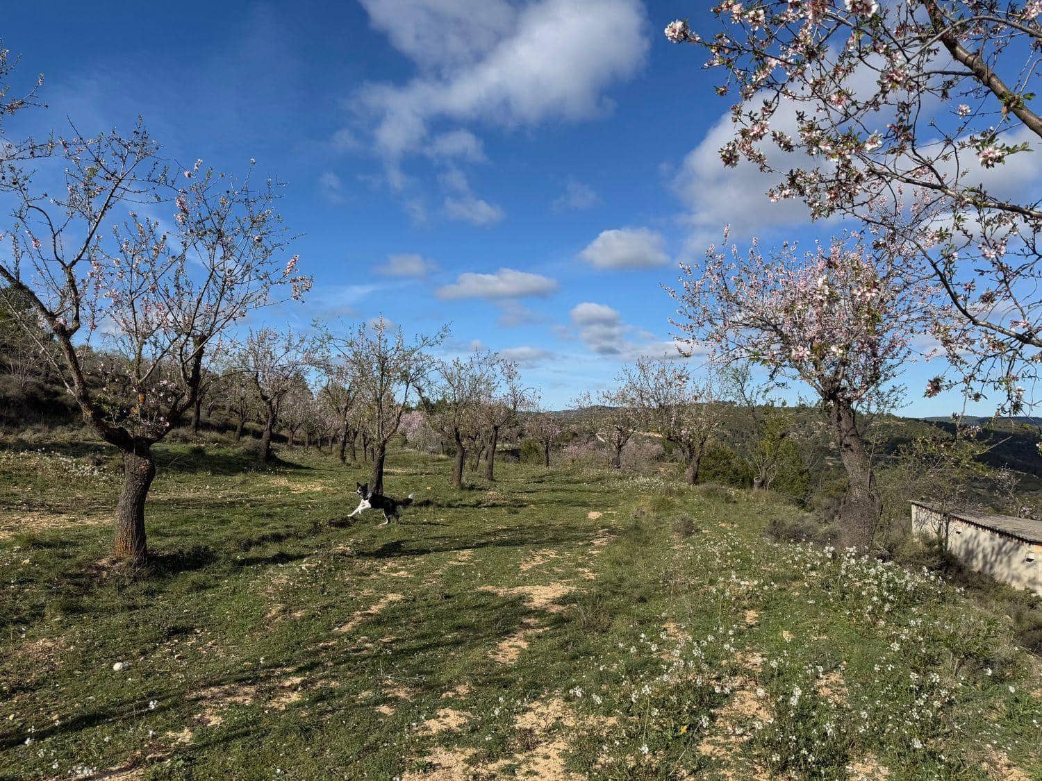 Finca/Maison de Campagne à vendre à Valderrobres - 80 000 € (Ref: 10124616)
