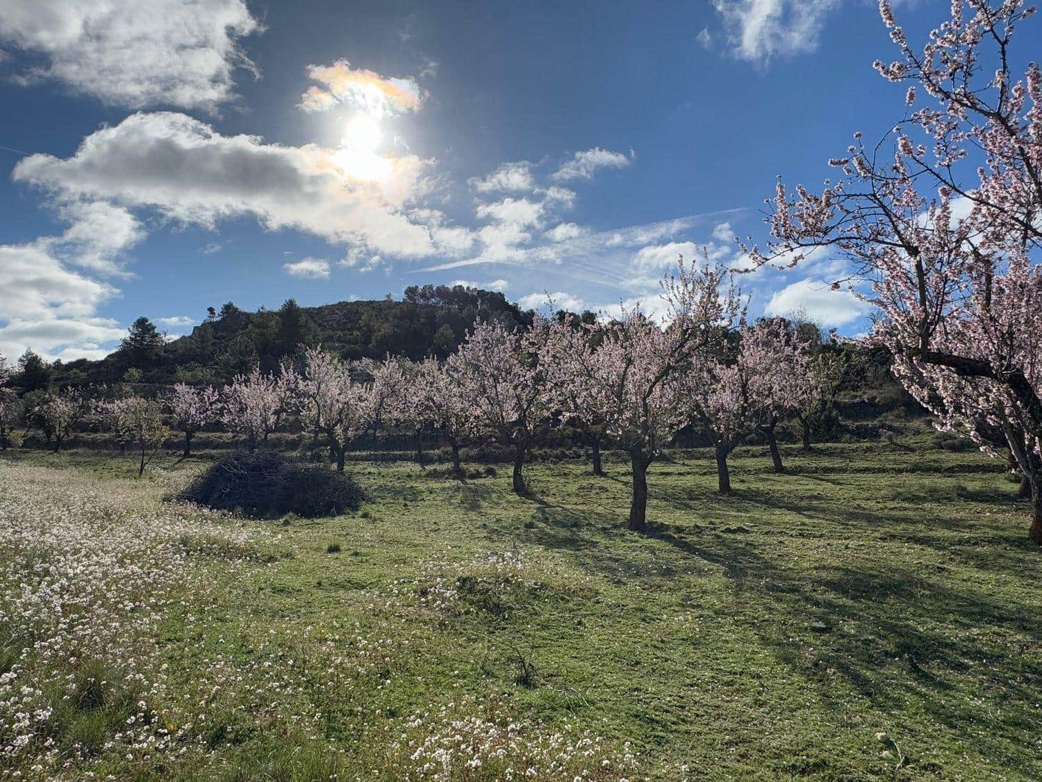 Finca/Maison de Campagne à vendre à Valderrobres - 80 000 € (Ref: 10124616)