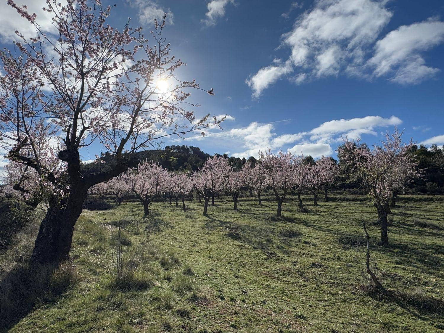 Finca/Maison de Campagne à vendre à Valderrobres - 80 000 € (Ref: 10124616)
