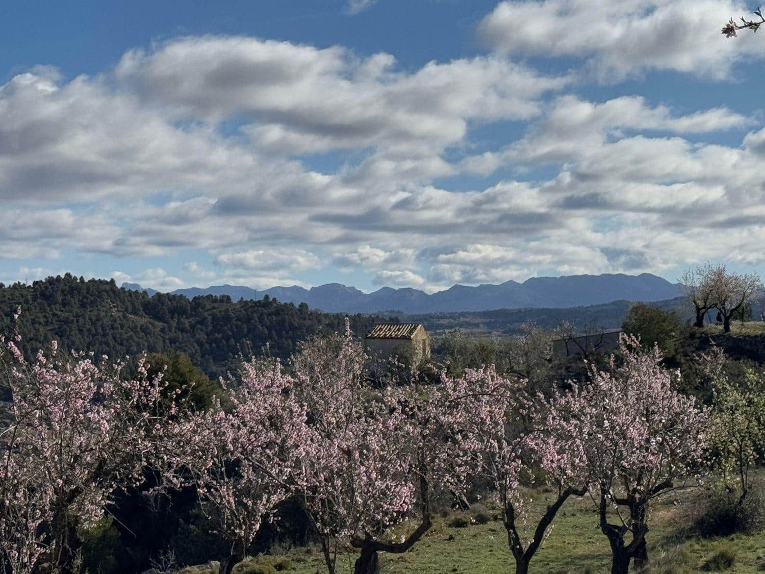 Finca/Maison de Campagne à vendre à Valderrobres - 80 000 € (Ref: 10124616)