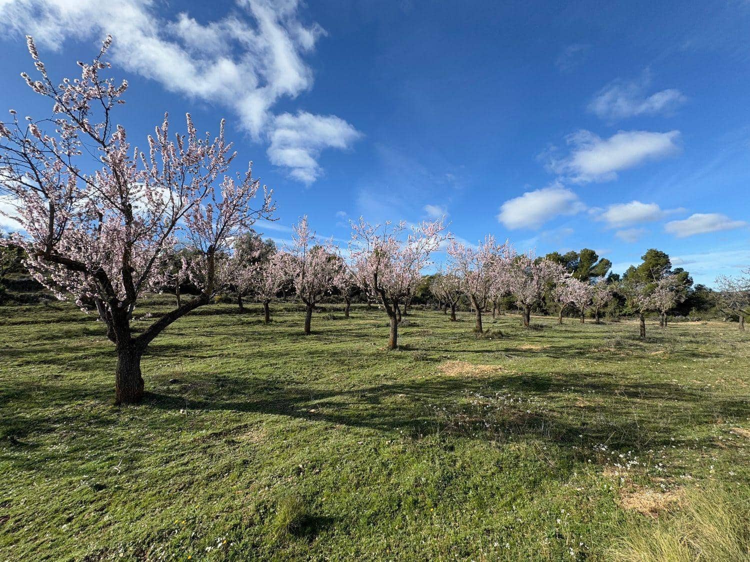 Finca/Maison de Campagne à vendre à Valderrobres - 80 000 € (Ref: 10124616)