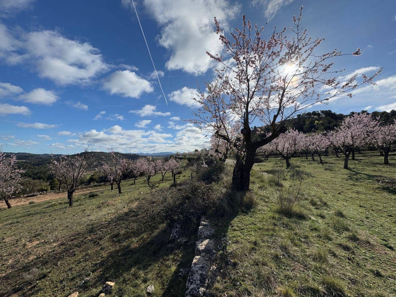 Finca/Maison de Campagne à vendre à Valderrobres - 80 000 € (Ref: 10124616)