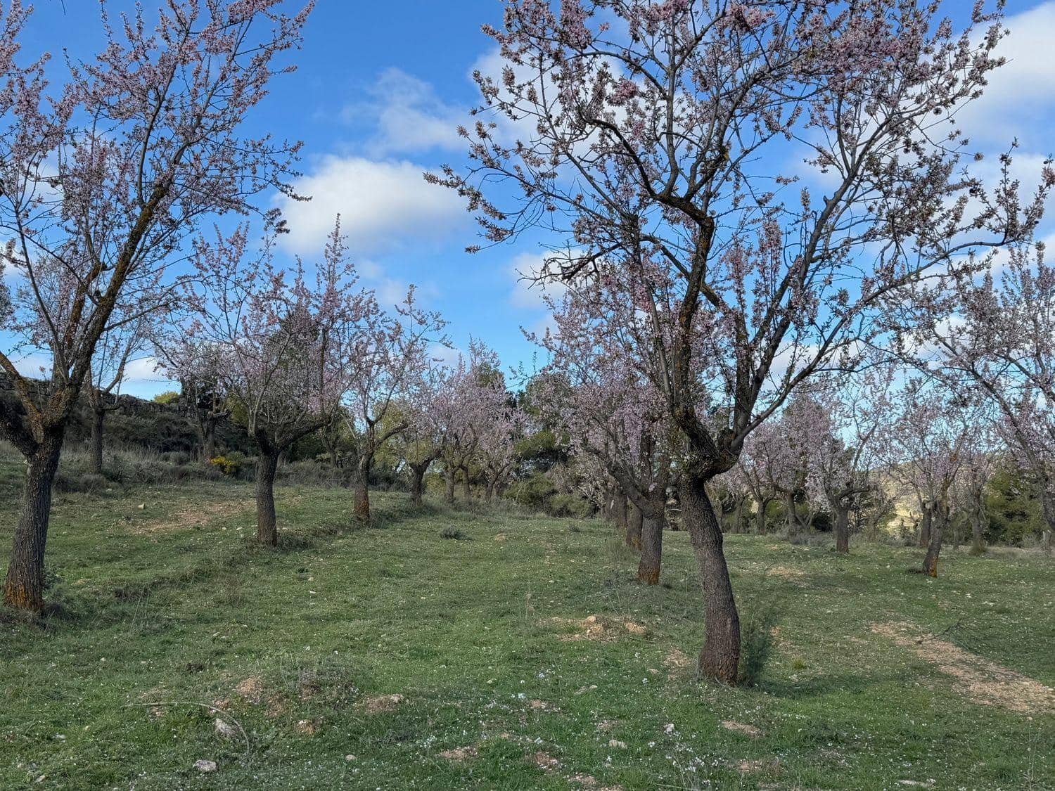 Finca/Maison de Campagne à vendre à Valderrobres - 80 000 € (Ref: 10124616)