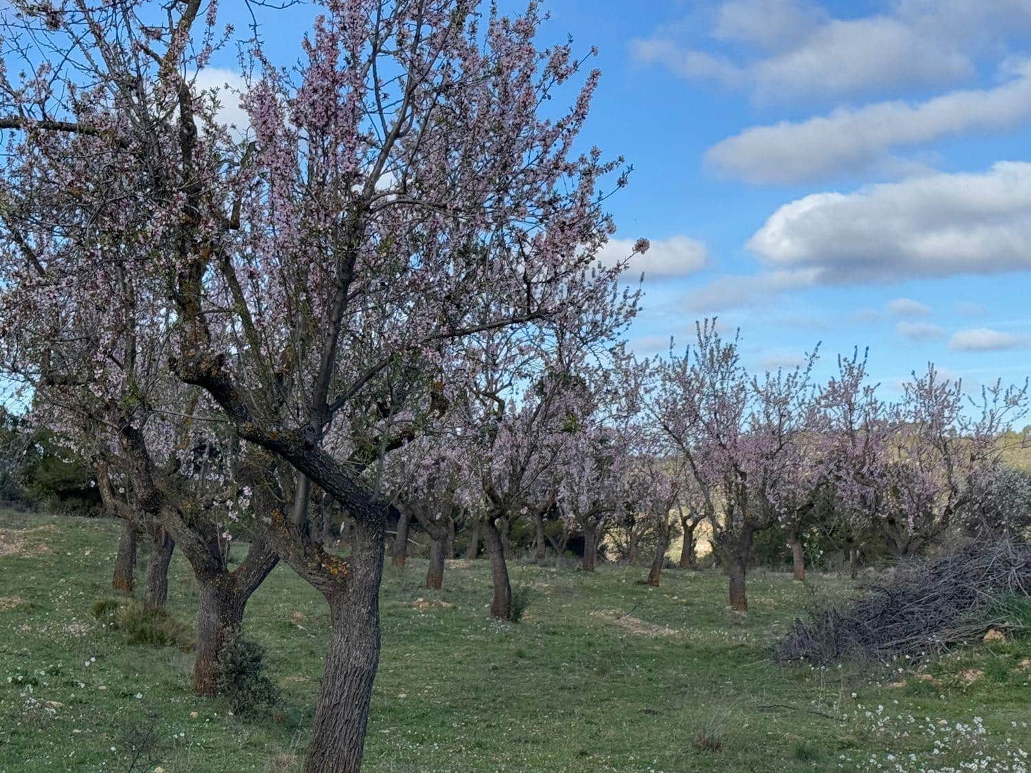 Finca/Maison de Campagne à vendre à Valderrobres - 80 000 € (Ref: 10124616)