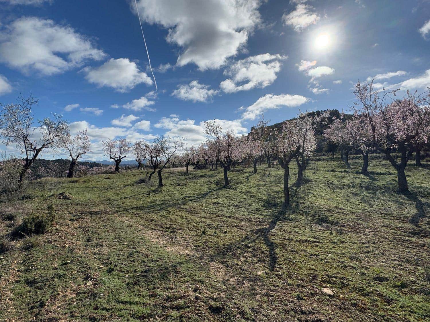 Finca/Maison de Campagne à vendre à Valderrobres - 80 000 € (Ref: 10124616)