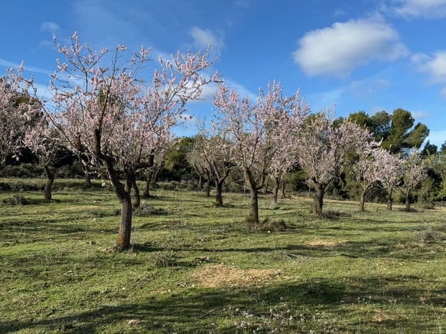 Finca/Maison de Campagne à vendre à Valderrobres - 80 000 € (Ref: 10124616)