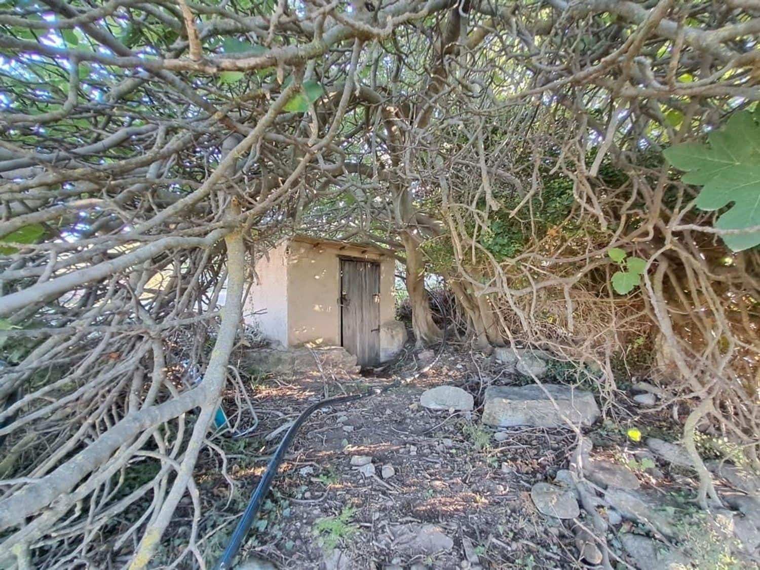Tontti myytävänä paikassa Arnes - 74 000 € (Ref: 10124618)