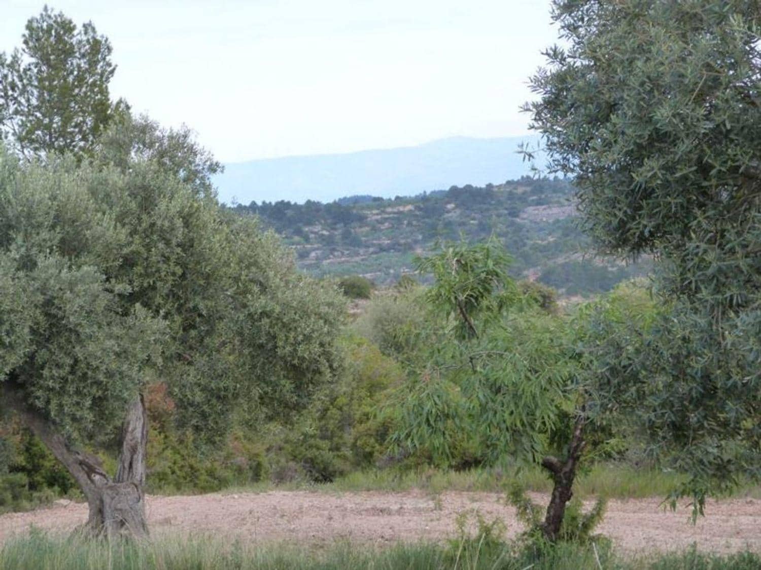 Finca/Country House for sale in Valjunquera - € 70,000 (Ref: 10124625)