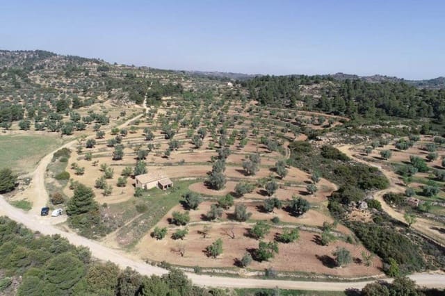 Finca/Country House for sale in Valjunquera - € 70,000 (Ref: 10124625)