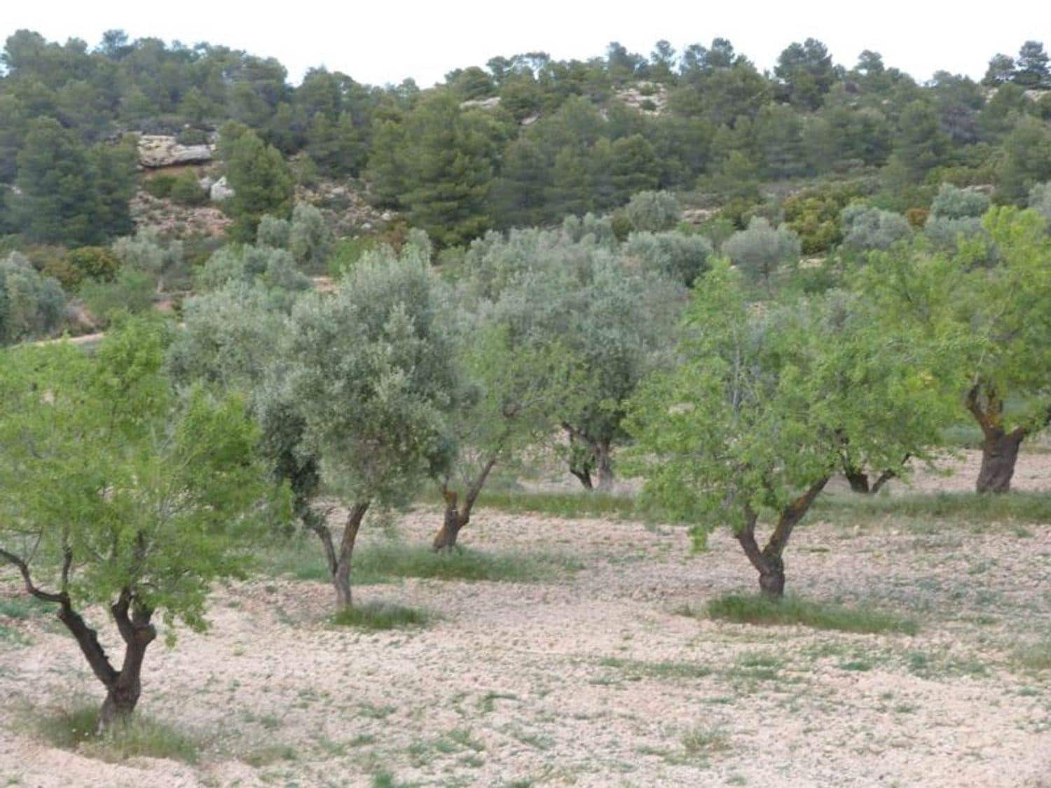 Finca/Country House for sale in Valjunquera - € 70,000 (Ref: 10124625)