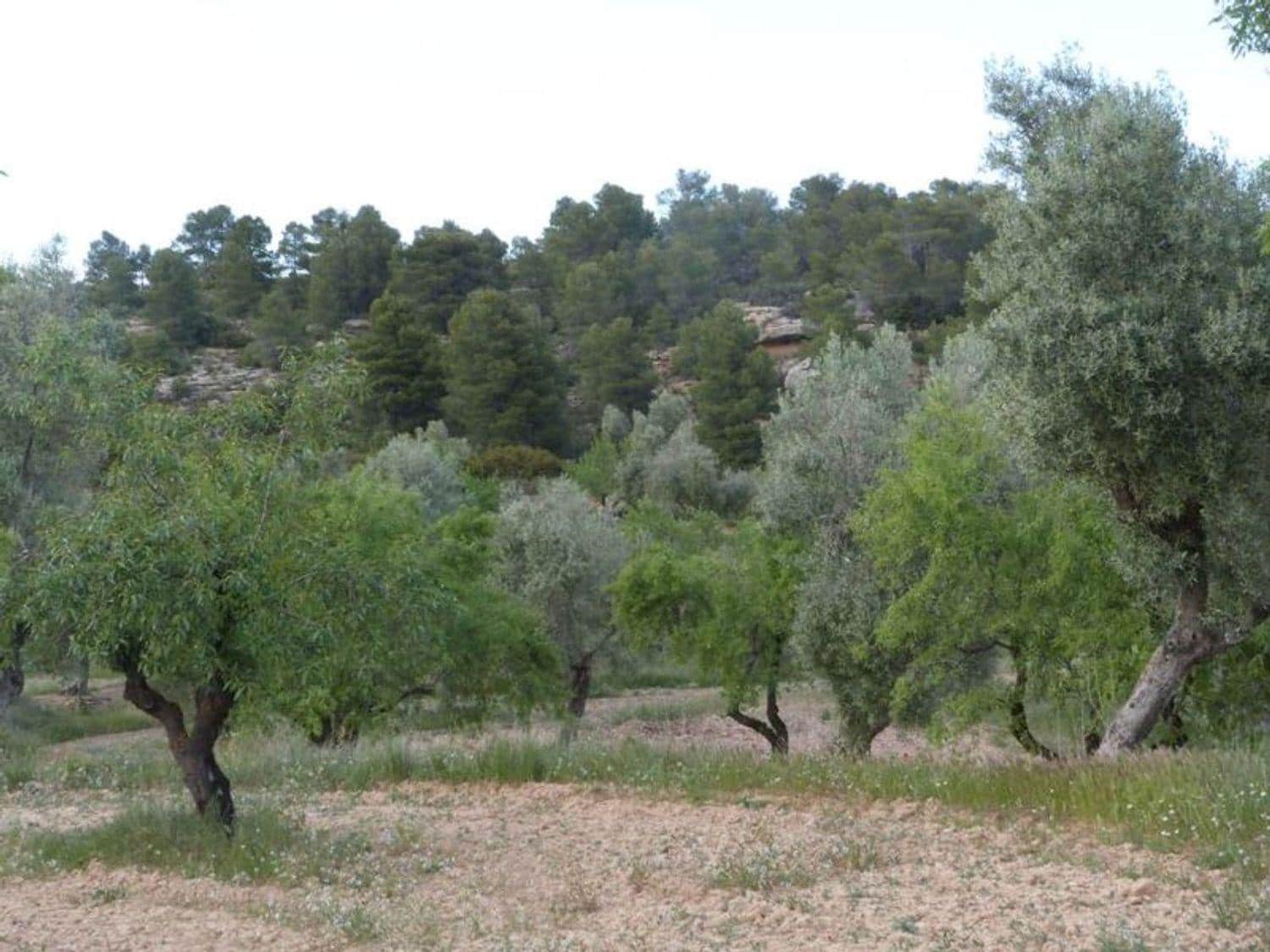 Finca/Country House for sale in Valjunquera - € 70,000 (Ref: 10124625)