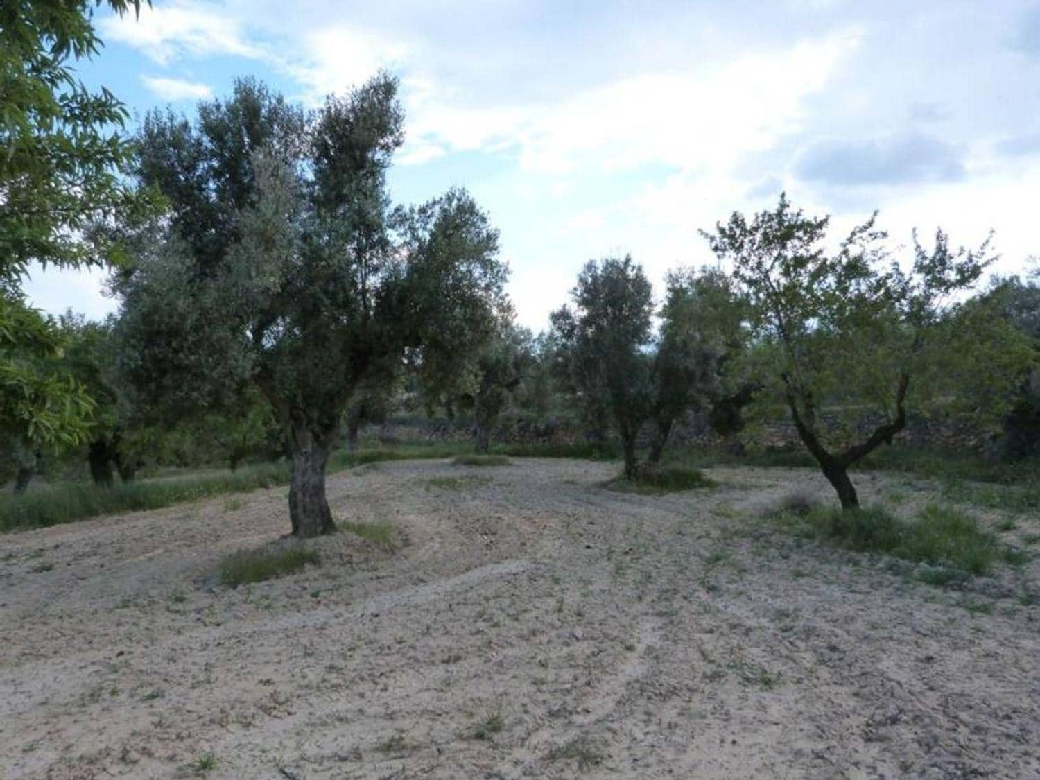 Finca/Country House for sale in Valjunquera - € 70,000 (Ref: 10124625)