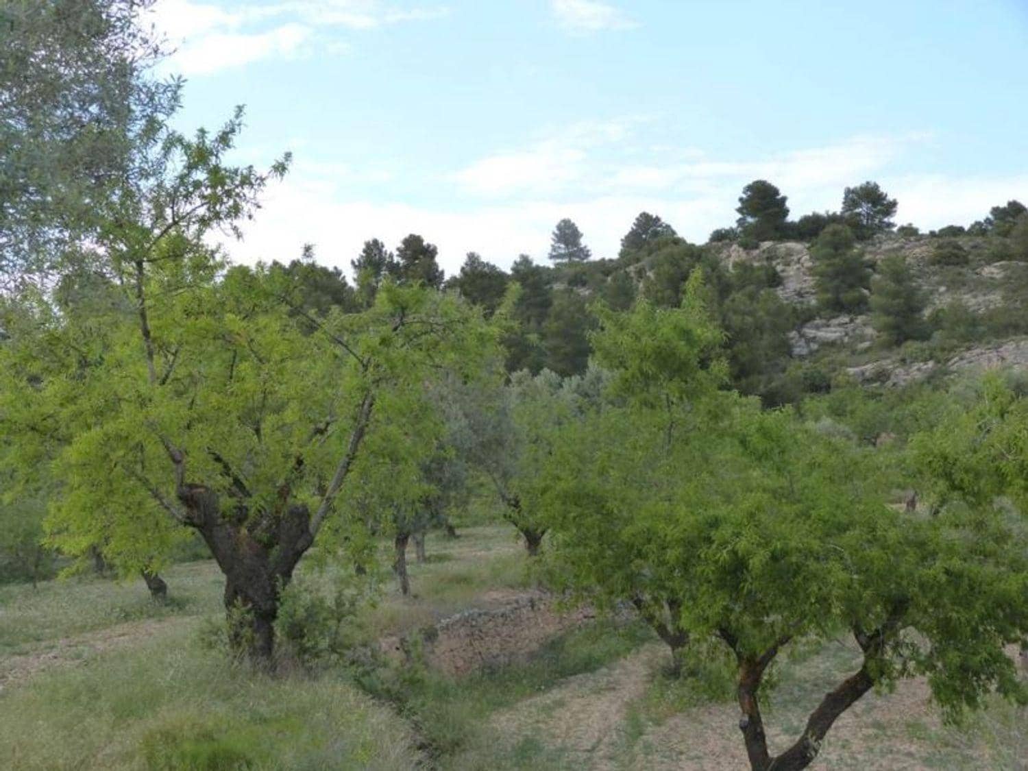 Finca/Country House for sale in Valjunquera - € 70,000 (Ref: 10124625)