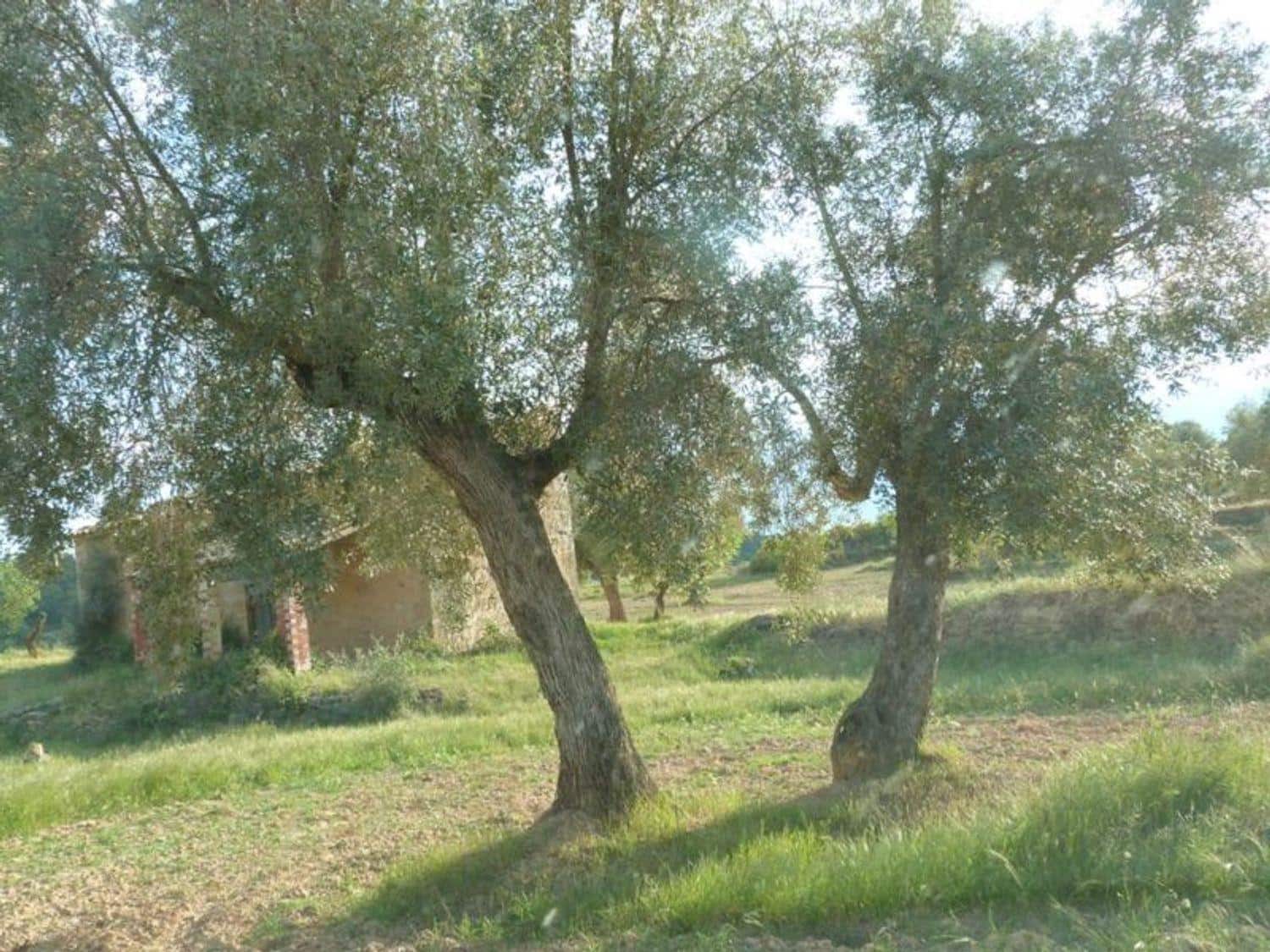 Finca/Country House for sale in Valjunquera - € 70,000 (Ref: 10124625)