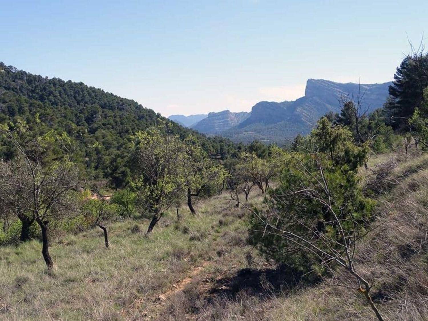 1 bedroom Finca/Country House for sale in Beceite - € 35,000 (Ref: 10124626)