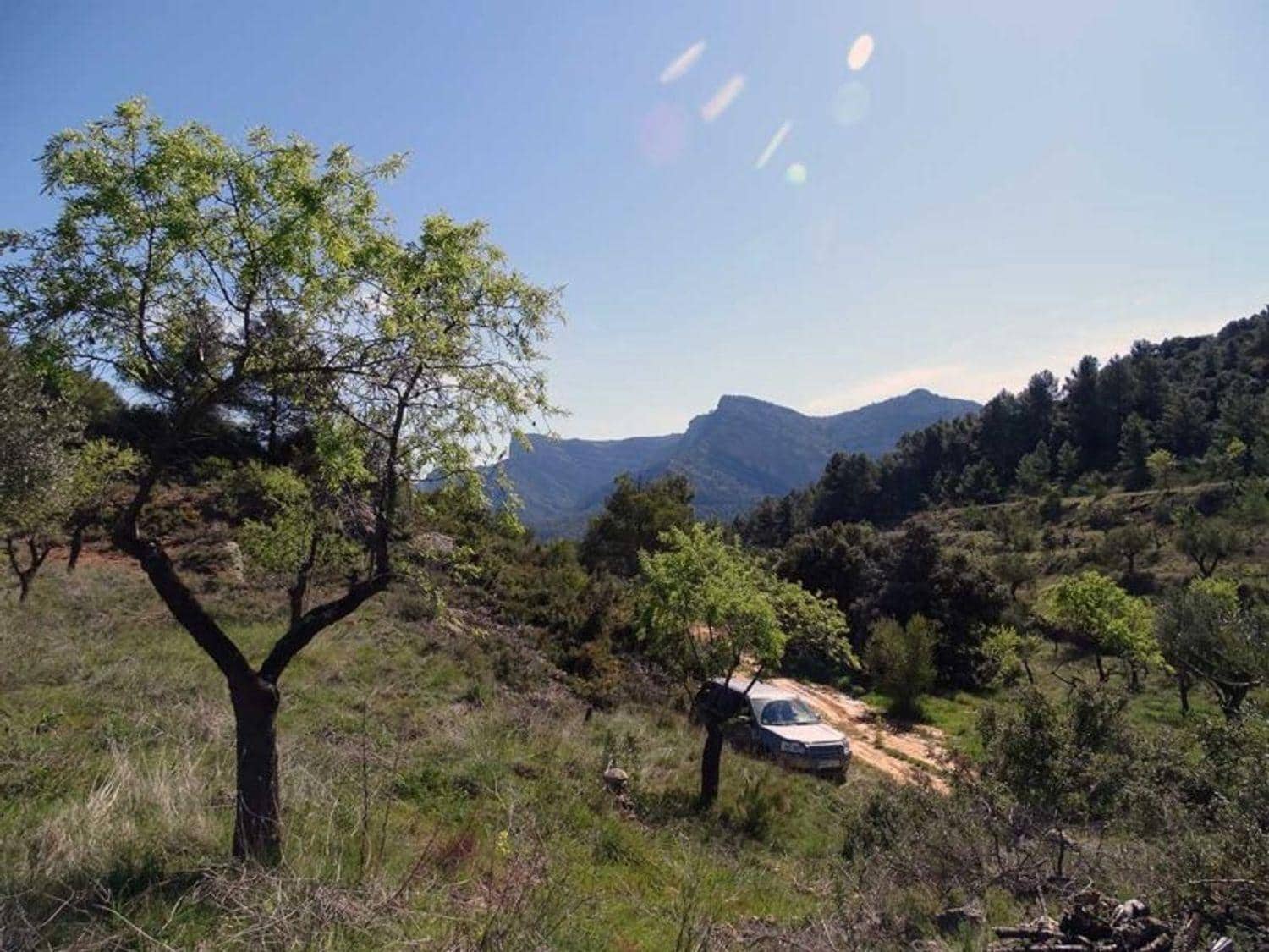 1 bedroom Finca/Country House for sale in Beceite - € 35,000 (Ref: 10124626)